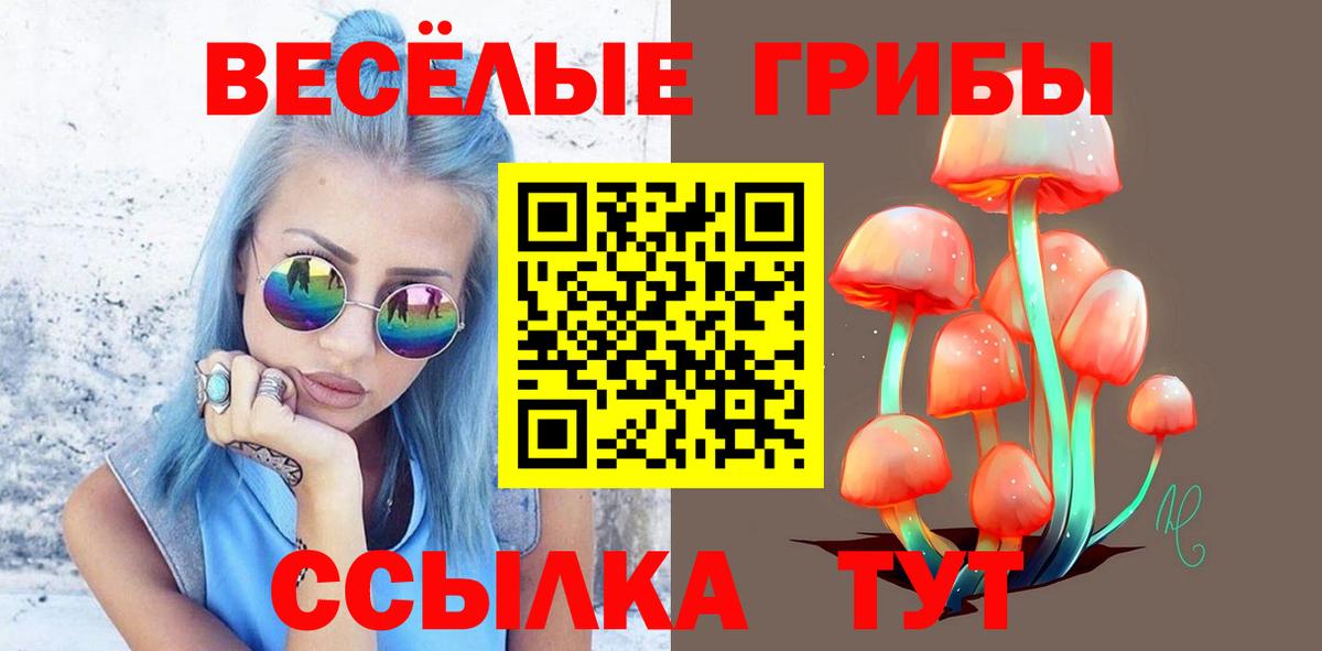 Галлюциногенные грибы MAGIC MUSHROOMS Тара